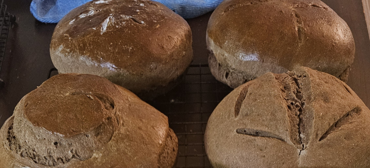 Boule - Dark Rye