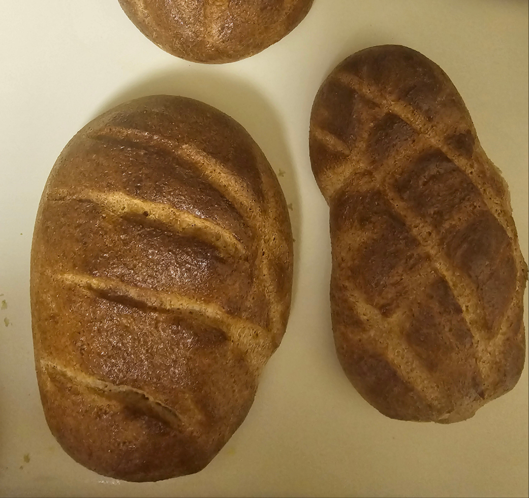 Bread Loaf (Whole Wheat)