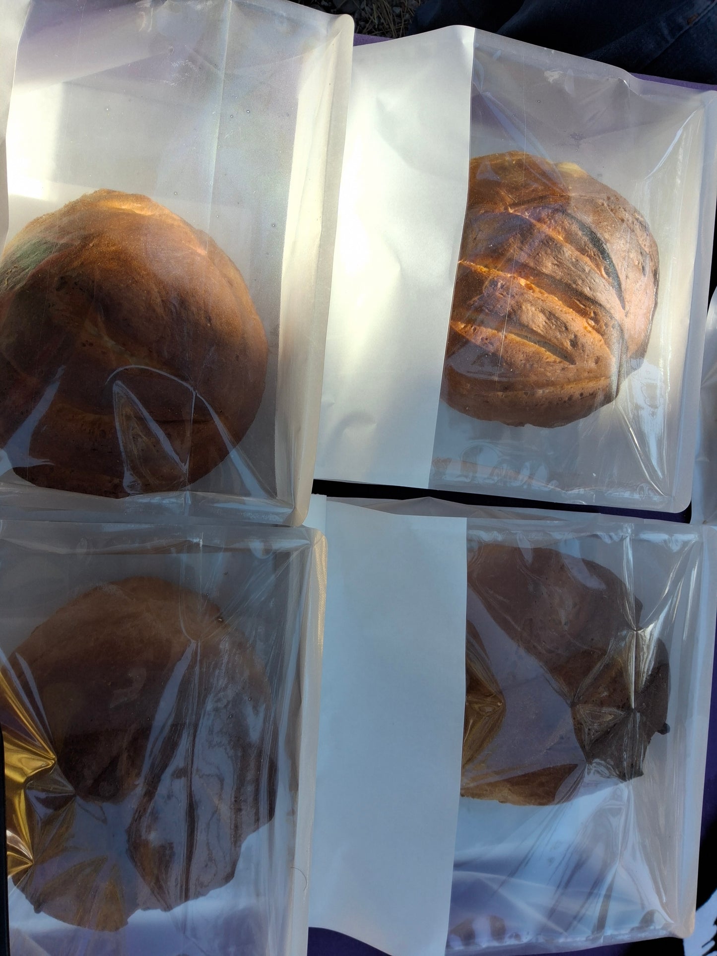Demi-boule Avacado