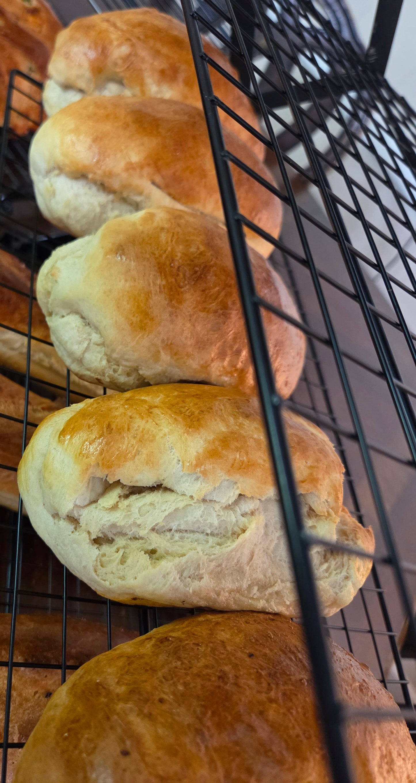 French Roll
